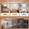 Silent 2-in-1 LED Ceiling Fan