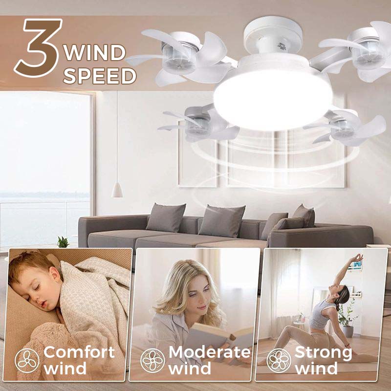 Silent 2-in-1 LED Ceiling Fan