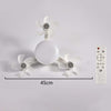 Silent 2-in-1 LED Ceiling Fan